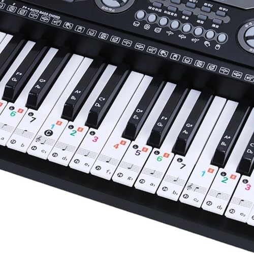 Klavier-Tastaturaufkleber Set, 88/61/49/37 transparent entfernbare umweltfreundliche PVC für Anfängerschüler Kinder Klavier-Tastaturaufkleber Set, 88/61/49/37 transparent entfernbare umweltfreundliche PVC für Anfängerschüler Kinder von Hperu