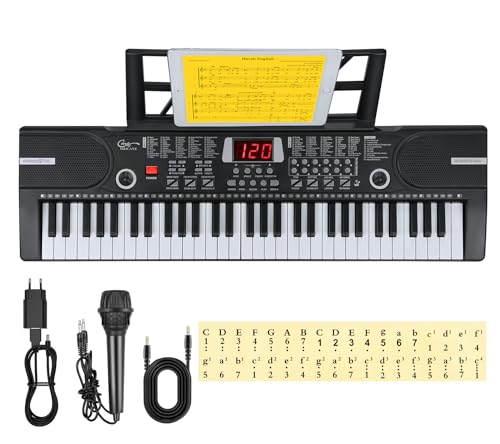 Hricane Kinder home-keyboards mit begleitautomatik, 61 Tasten Keyboard Piano mit Mikrofon für Anfänger Jungen Mädchen, elektrisches klavier e Pianos, Schwarz HEP-612S von Hricane