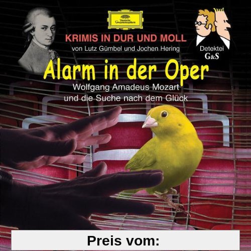 Krimis-Alarm in der Oper (Mozart) von Hubert Schlemmer
