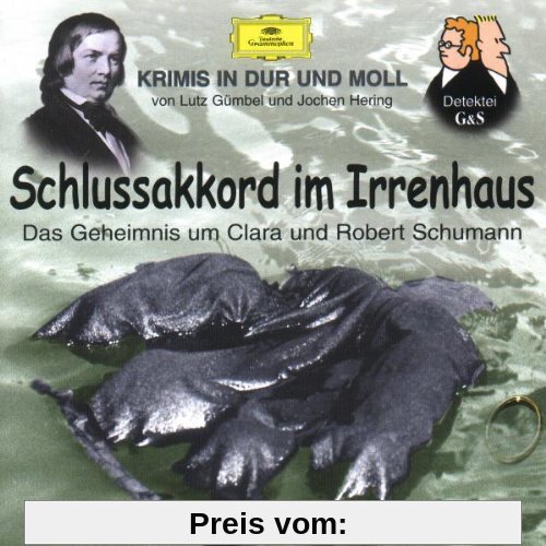 Krimis-Schlussakkord im Irrenhaus (Schumann) von Hubert Schlemmer