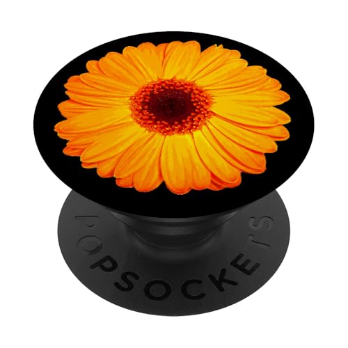 Gelbe Gerbera Daisy auf Schwarz PopSockets Klebender PopGrip Gelbe Gerbera Daisy auf Schwarz PopSockets Klebender PopGrip von Hübsche Blumendesigns
