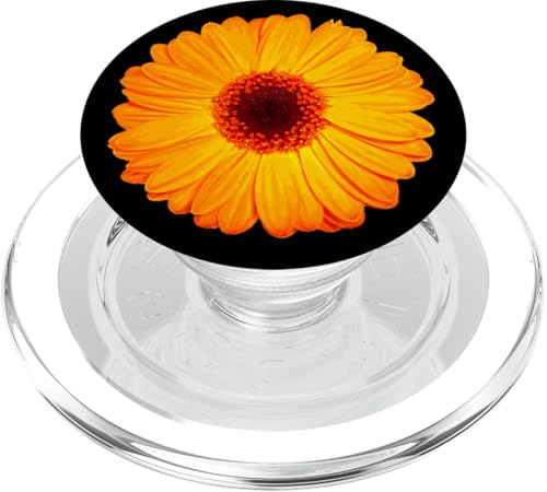 Gelbe Gerbera Daisy auf Schwarz PopSockets PopGrip für MagSafe von Hübsche Blumendesigns