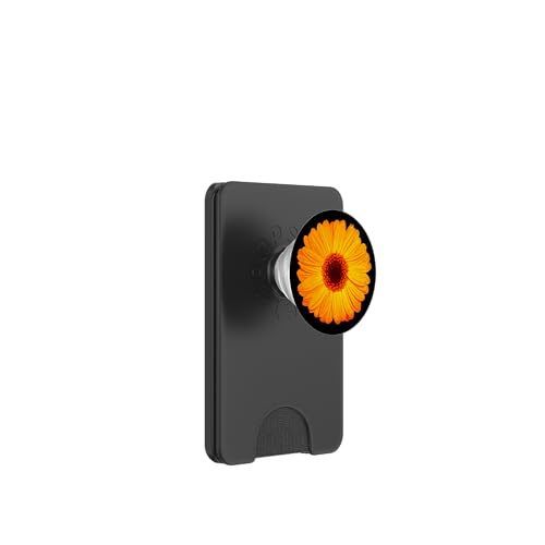 Gelbe Gerbera Daisy auf Schwarz PopSockets PopWallet für MagSafe von Hübsche Blumendesigns