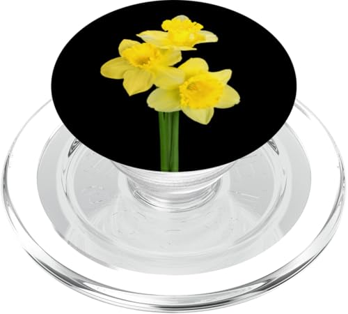 Gelbe Narzissen springen Blumen auf Schwarz PopSockets PopGrip für MagSafe Gelbe Narzissen springen Blumen auf Schwarz PopSockets PopGrip für MagSafe von Hübsche Blumendesigns