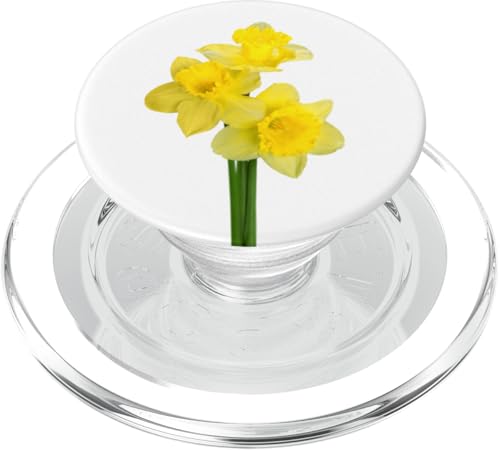 Gelbe Narzissen springen Blumen auf einem weißen Hintergrund PopSockets PopGrip für MagSafe Gelbe Narzissen springen Blumen auf einem weißen Hintergrund PopSockets PopGrip für MagSafe von Hübsche Blumendesigns