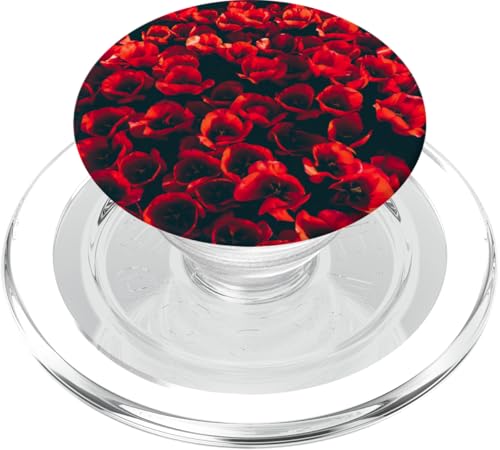 Rote Blumen Mohnblumenblumen PopSockets PopGrip für MagSafe Rote Blumen Mohnblumenblumen PopSockets PopGrip für MagSafe von Hübsche Blumendesigns