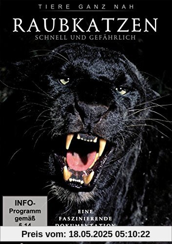 Raubkatzen - Schnell und gefährlich von Hugo van Hawick
