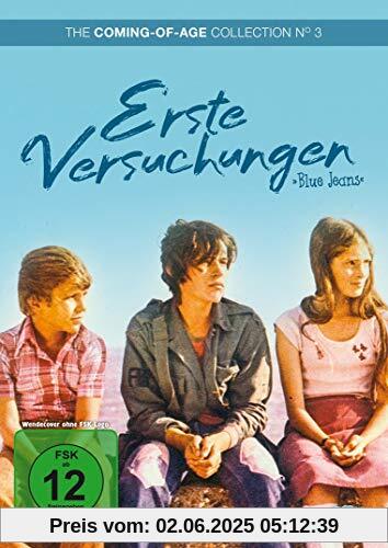 Erste Versuchungen (The Coming-of-Age Collection No. 3) von Hugues Burin des Roziers