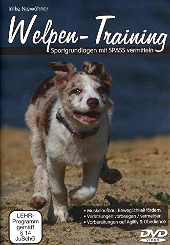 Welpen-Training - Sportgrundlagen mit Spass vermitteln [2 DVDs] von Hunde DVD Shop