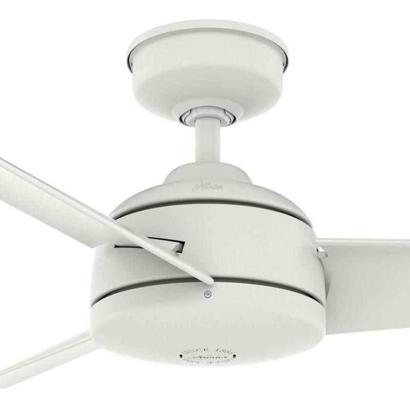 Hunter Trimaran Deckenventilator weiß von Hunter