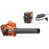 Husqvarna 120iB + BLi20 + QC80 von Husqvarna