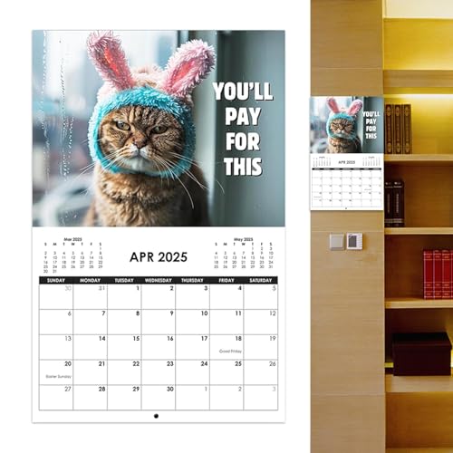 Kalender 2025 d-Off Cats - Lustiger Katzen-Wandkalender | Kreative Katze Monats-Wandkalender | Großer 12-Monatskalender 2025 Kalender mit Monatsansicht lustiger Tierkalender | d off Cat von Huyeruie