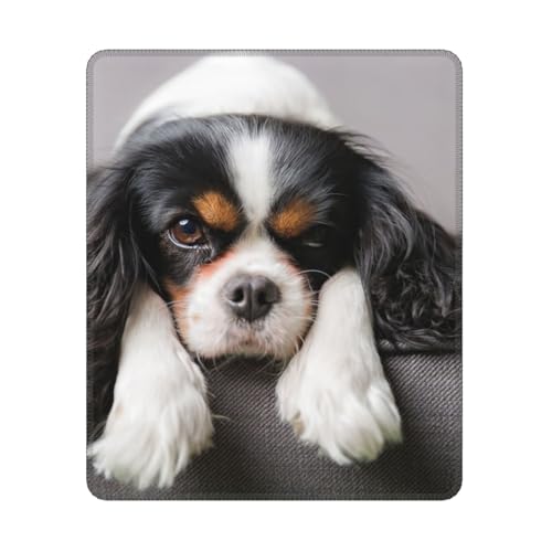 Hyaszst Cavalier King Charles Spaniel Hund, Quadratisches Mauspad, rutschfestes, wasserdichtes Mauspad Hyaszst Cavalier King Charles Spaniel Hund, Quadratisches Mauspad, rutschfestes, wasserdichtes Mauspad von Hyaszst