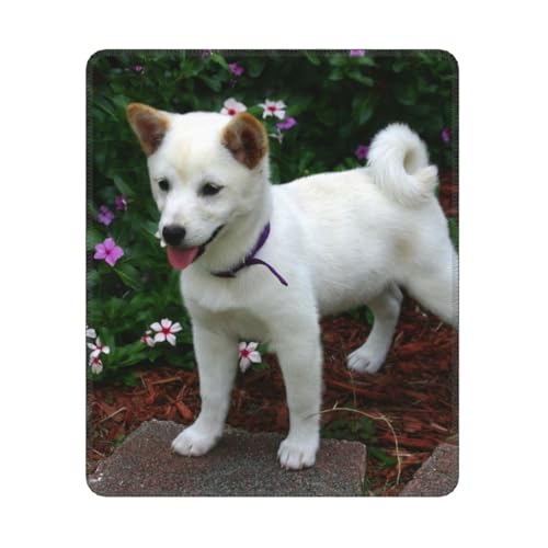 Hyaszst Shiba Inu Welpe, Quadratisches Mauspad, rutschfestes, wasserdichtes Mauspad Hyaszst Shiba Inu Welpe, Quadratisches Mauspad, rutschfestes, wasserdichtes Mauspad von Hyaszst