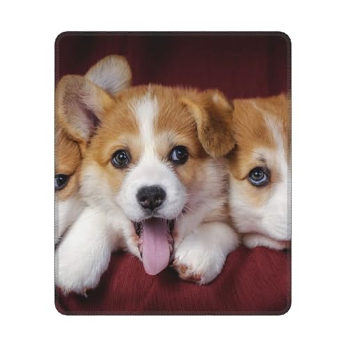Hyaszst Walisischer Corgi-Hund, Quadratisches Mauspad, rutschfestes, wasserdichtes Mauspad Hyaszst Walisischer Corgi-Hund, Quadratisches Mauspad, rutschfestes, wasserdichtes Mauspad von Hyaszst