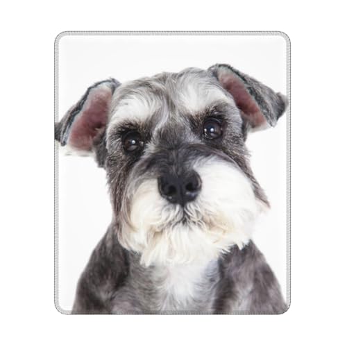 Schnauzer Hund Haustier, Quadratisches Mauspad, rutschfestes, wasserdichtes Mauspad Schnauzer Hund Haustier, Quadratisches Mauspad, rutschfestes, wasserdichtes Mauspad von Hyaszst