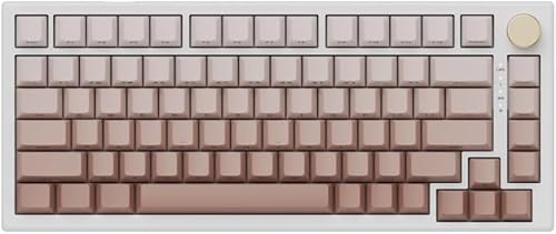 Hyekic MADLIONS VGN Gaming Tastatur A75 Magnetschalter Tastaturen mit Einstellbarer Betätigung, Rapid Trigger Modus, Englisches Layout, PBT Tastenkappe, 75% Layout Tastatur für PC/Mac Gamer, Gradient von Hyekic