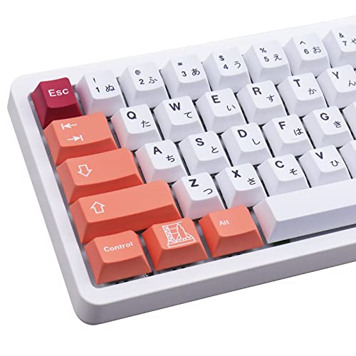 Hyekit PBT Tastenkappen, 143 Tasten Liftoff Tastenkappen FarbsublimationsPBT TastenkappenSet Kirschprofil japanische benutzerdefinierte Tastenkappen für mechanische Tastaturen (3u, 6.25U und 7U von Hyekit