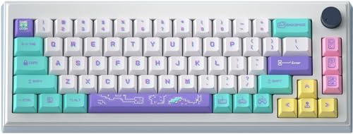 Hyekit PBT-Tastenkappen, Cherry Profile Custom Keycaps, 141 Tasten, Farbstoff-Sublimation, Retro-Spielkonsolen-Stil, Tastatur-Set für mechanische Tastatur, Tastaturen für 60 Prozent (8 Bit) von Hyekit