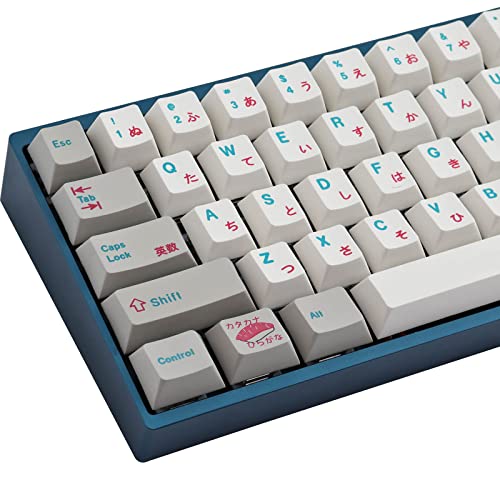 Hyekit PBT-Tastenkappen, 124 Tasten, Sushi-Tastenkappen, Farbstoff-Sublimation, 7U und 6,25U, Leertasten-Tastenkappen-Set, Kirsch-Profil für Cherry Gateron MX-Schalter, mechanische Tastatur, von Hyekit