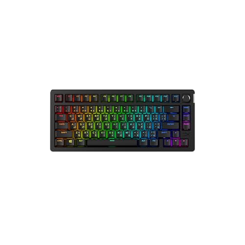 HyperX Alloy Rise 75 Wireless – 75% Hot-Swapable Mechanische Gaming-Tastatur, QWERTY-ES Spanisches Layout, PC, bis zu 80 Stunden Hintergrundbeleuchtung, Dual Wireless 2,4 GHz und Bluetooth, Schwarz HyperX Alloy Rise 75 Wireless – 75% Hot-Swapable Mechanische Gaming-Tastatur, QWERTY-ES Spanisches Layout, PC, bis zu 80 Stunden Hintergrundbeleuchtung, Dual Wireless 2,4 GHz und Bluetooth, Schwarz von HyperX