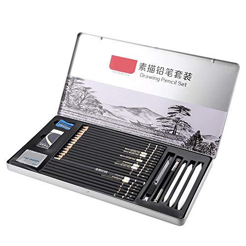 Hztyyier 29Pcs Zeichenset Professionell, Sketching Pencils Set, Bleistifte Zeichnen, Sketching Set mit Einem Aufbewahrungskoffer für Anfänger Künstler von Hztyyier