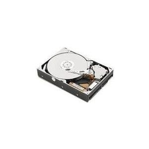 IBM 1TB 2.5' SFF HS 7.2K 6GBbps SATA (81Y9731) von IBM
