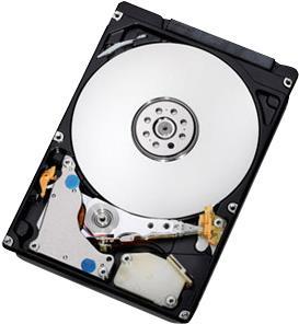 IBM 250GB 3.5  SATA (43W7750) von IBM