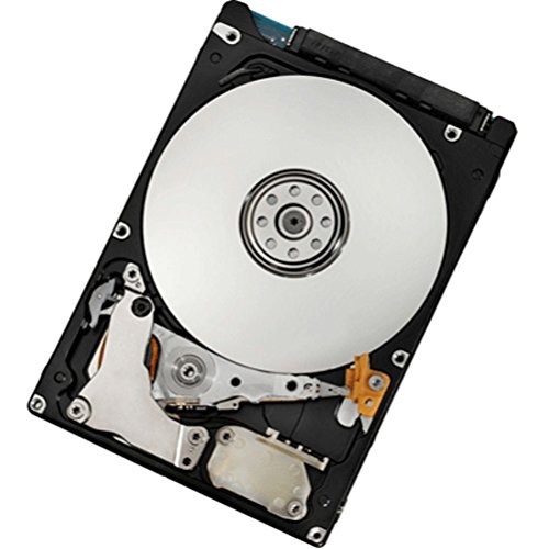 IBM 42D0708 Hard Disk von IBM
