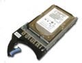IBM 45W8286 Festplatte (2 TB, 7.200 U/min, SAS, 6 GBits, 8,9 cm (3,5 Zoll), mit Tray) von IBM
