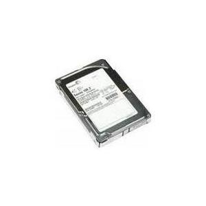 IBM 85Y5862 300GB SAS Interne Festplatte (85Y5862) von IBM