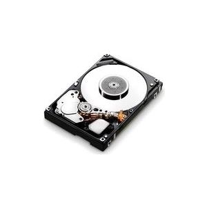 IBM Dual Port - Festplatte - 600 GB - Hot-Swap - 6.4 cm (2.5) - SAS 6Gb/s - 10000 U/min - für System Storage DS3524 Model C4A von IBM