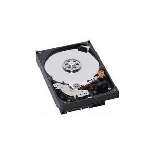 IBM - Festplatte - 600 GB - Hot-Swap - 3.5 (8.9 cm) - SAS 6Gb/s - 15000 U/min - für System Storage DS3512, EXP3512 von IBM