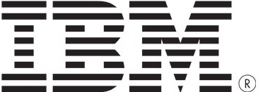 IBM - Speichersicherungsbatterie von IBM