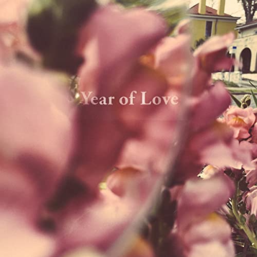 Year of Love (180g Lp Gatefold) [Vinyl LP] von UNIVERSAL MUSIC GROUP