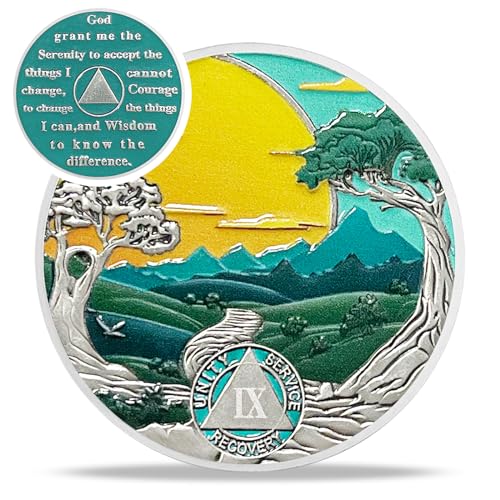 Green Forest 9 Year Nüchternheitsmünze – Recovery Sun Neunjährige AA Münzen – Mountain Tree Road NA AA Chips und Medaillons – 1–20 Prime Nüchternheit Chip Alkoholiker Anonyme Geschenke für Männer von IELCJJ