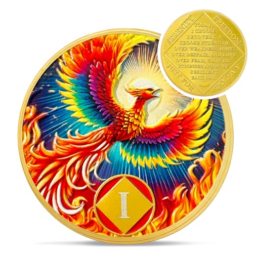 Sunlight Phoenix 1 Year Na Medaillons – Reborn from Fire Nüchternheitsmünze – Recovery Addiction NA AA Chips und Medaillons – Feiern Sie Living Clean Affirmation Narcotics Anonyme Geschenke für Männer von IELCJJ