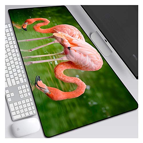 IGIRC Mauspad Literarische Flamingo 900X400mm Mausunterlage, Extended XXL große professionelle Gaming-Mausunterlage mit 3 mm starker Basis, für Notebooks, PC, B IGIRC Mauspad Literarische Flamingo 900X400mm Mausunterlage, Extended XXL große professionelle Gaming-Mausunterlage mit 3 mm starker Basis, für Notebooks, PC, B von Hemore