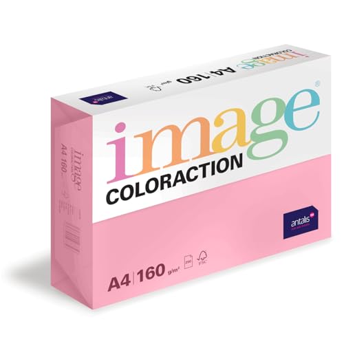 Image Coloraction Coral - farbiges Kopierpapier - DIN A4, 210 x 297 mm, 160 g/m² - buntes, holzfreies Druckerpapier für Kopierer - 250 Blatt - Rosa Image Coloraction Coral - farbiges Kopierpapier - DIN A4, 210 x 297 mm, 160 g/m² - buntes, holzfreies Druckerpapier für Kopierer - 250 Blatt - Rosa von IMAGE