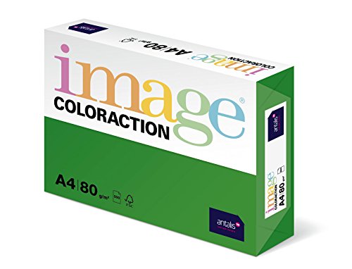 Image Coloraction Dublin - farbiges Kopierpapier - DIN A4, 210 x 297 mm, 80 g/m² - buntes, holzfreies Druckerpapier für Kopierer - 500 Blatt - Dunkelgrün von IMAGE