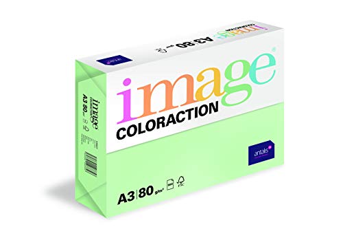 Image Coloraction Forest - farbiges Kopierpapier - DIN A3, 297 x 420 mm, 80 g/m² - buntes, holzfreies Druckerpapier für Kopierer - 500 Blatt - Grün von IMAGE