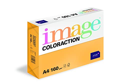 Image Coloraction Venezia - farbiges Kopierpapier - DIN A4, 210 x 297 mm, 160 g/m² - buntes, holzfreies Druckerpapier für Kopierer - 250 Blatt - Altgold von IMAGE