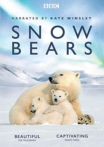 Snow Bears ( BBC One special narrated by Kate Winslet) [DVD] von IMC