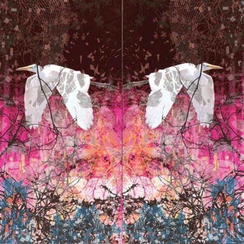 Thaumogenenis =ltd= [Vinyl LP] von IMPORTANT RECORDS