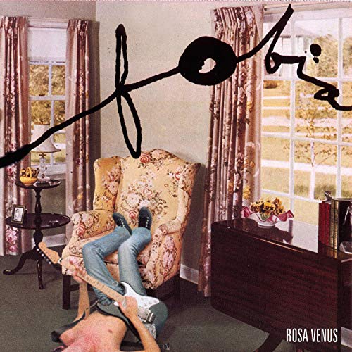 Rosa Venus [Vinyl LP] von IMPORTS