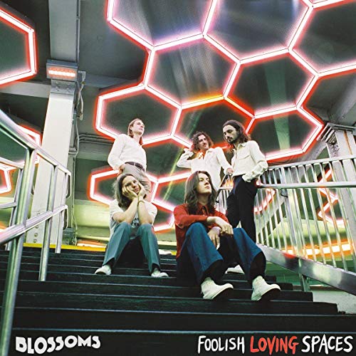 Foolish Loving Spaces von IMS-CAROLINE INT. LI