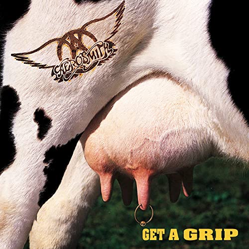 Get a Grip (2 Lp) [Vinyl LP] von IMS-GEFFEN RECORDS