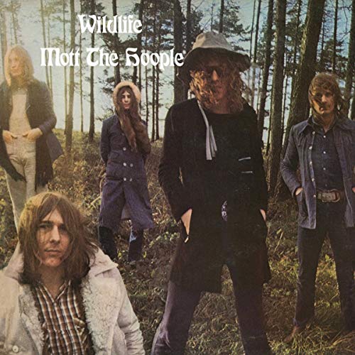 Wildlife (Vinyl) [Vinyl LP] von Island Records
