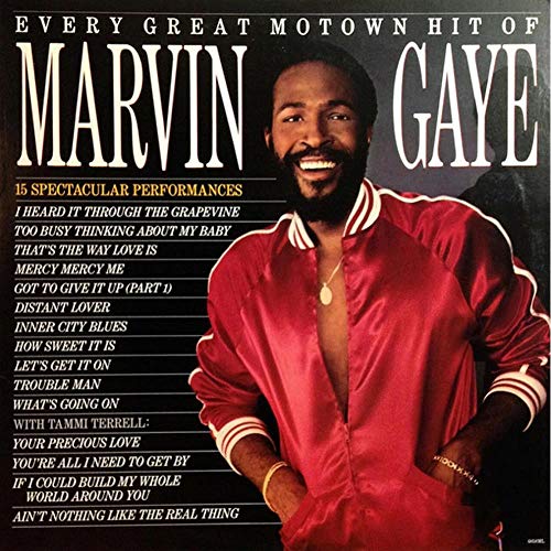 Every Great Motown Hit of Marvin Gaye (Vinyl) [Vinyl LP] von UNIVERSAL MUSIC GROUP