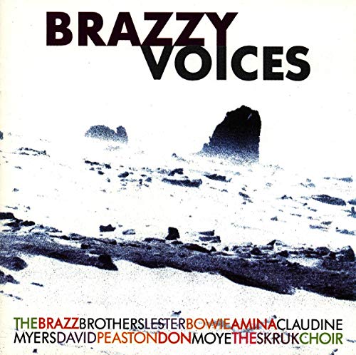 Brazzy Voices von IN & OUT RECORDS
